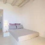 G Y In Tinos Villa